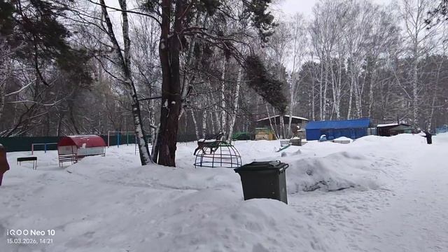 Воскресенский выходной