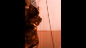 С НОВЫМ ГОДОМ! 2019! Карина Королева-Гембицкая