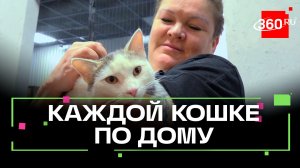 Акция по пристройству кошек прошла в Дедовске