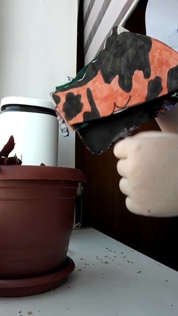 VID_20260316_144606.mp4