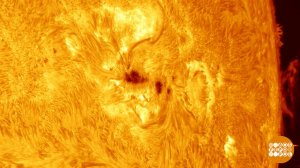 Кто почистил Солнце? Доброе утро. Фрагмент выпуска от 16.03.2026