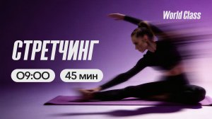 СТРЕТЧИНГ с Анастасией Филипьевой | 16 марта 2026 | Онлайн-тренировки World Class