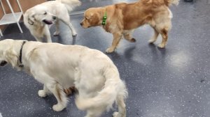 Групповуха 15 марта 2026