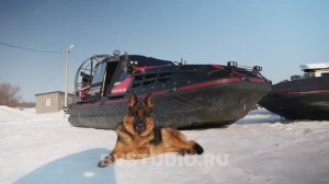 Аэролодки Аллигатор