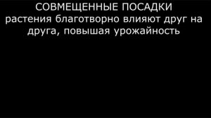 ЗАЧЕМ СОВМЕЩАТЬ и УПЛОТНЯТЬ посадки овощей