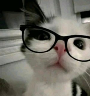 Слушаем новую песню MrDomer