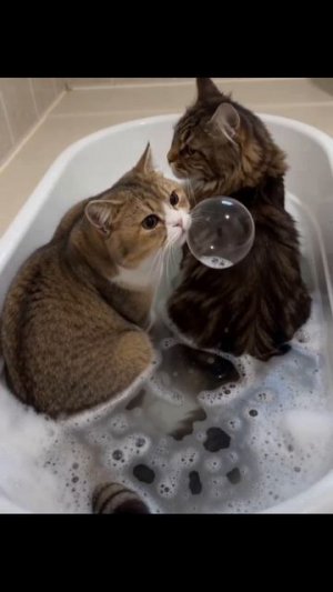 А кто это сделал?  🤔