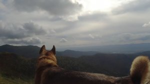 Новые интерессные горы,однобокая брусника,высокогорный ключ,трактор.