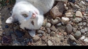 П-ов Меганом. Шоколадный пляж. 14.03.26.