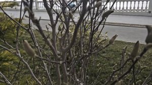 #212.Анапа.Мои прогулки по Набережной и у моря.