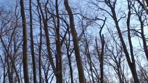 ШИКАРНО, КЛАССНО, СУПЕР... ПЕСНЯ НА СТИХИ ЕСЕНИНА. **ПУСКАЙ ТЫ ВЫПИТА ДРУГИМ** СО МНОЙ ПО ПАРКУ. 👣.