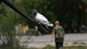 «Миру нужен герой»