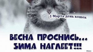 К нам пришла весна .