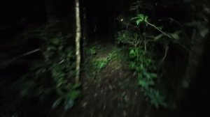 Травма на ультратрейле во Вьетнаме