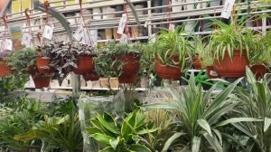 Лемана Про‼️Обзор на сад🪴 огород 🪏 Что купить на кухню