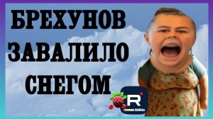 Сельчанка в Америке _Брехунов завалило снегом _Обзор _Selchanka v Amerike _Big Big Family in the USA