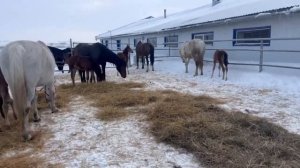 Молодое поколение