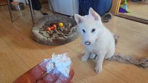 Творог с руки