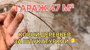 Гараж 47м2 - В стене гаража нашел КОРНИ ДЕРЕВЬЕВ! Разборка комнаты отдыха и сюрпризы потолка