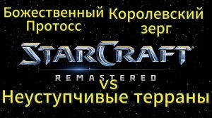 У этих двоих - 3 ЧЕМПИОНСТВА в турнирах ASL. И похоже они хотят ЕЩЕ ОДИН - StarCraft Remastered