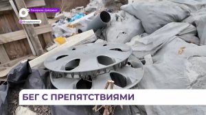 Во Владивостоке в лесном массиве обнаружена несанкционированная свалка