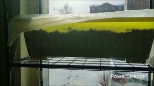 Наконец то и к нам пришла весна