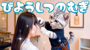 【Офисный котик Муги】Репортаж из жизни Муги, который стал парикмахером 🐱✂️