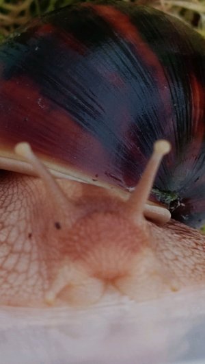 делаю идеи для видосиков