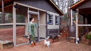 Всё Лучшее для Мужа | Новый Курятник Готов | Тесто на Глаз | Семейный Влог Эгине | Heghineh