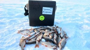 Погодка класс, рыбалка супер!!!!