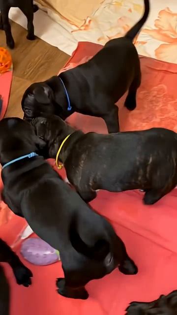 6 марта 2026 г.