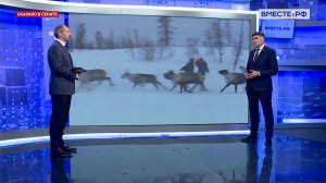 Правовое регулирование в сфере северного оленеводства. Владимир Пушкарев. Сказано в Сенате