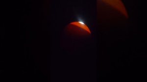 Овоскопирование. 18 день инкубации куриного яйца.