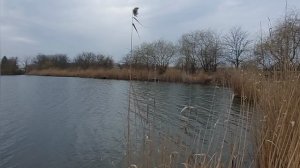 рыбалка 16 марта 2026 Краснодарский край