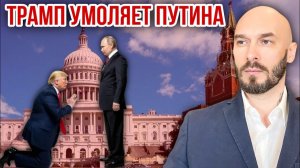 Трамп умоляет Путина. Николай Лилин