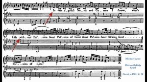 Басс континуо