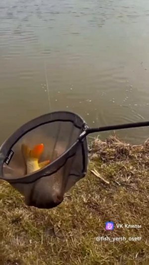 Успешный успех) ДО КОНЦА!