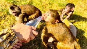 Это надо видеть, какой ВЫЗВАЛА ИНТЕРЕС у малышей ОБЫЧНАЯ БУТЫЛКА С ВОДОЙ!