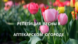 А Вы готовы к весне? Выставка цветов в Аптекарском огороде