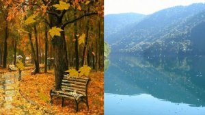 Ветер не плачь