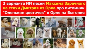 20260315 ИИ песня О питомнике собак Оленькин Цветочек г Орёл Максима Заречного стихи Дмитрия из Орла