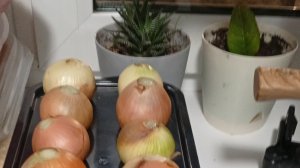 дела,ответы на вопросы,воспоминания,болталка.