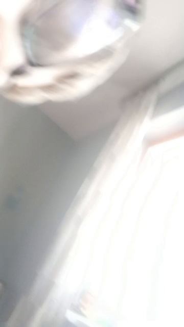 МАЙН В РИЛ ЛАЙФЕ