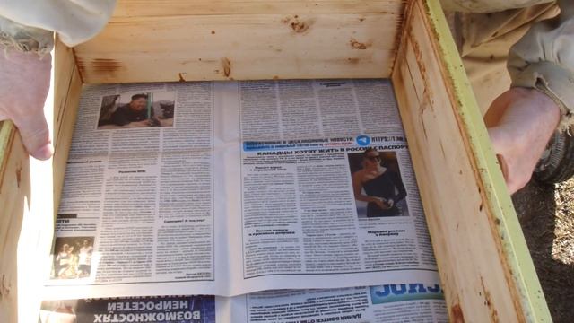 Весной в семье нет матки. Что делать?