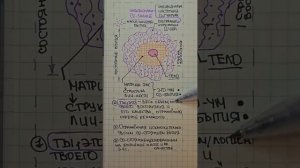 Ты  это не тело