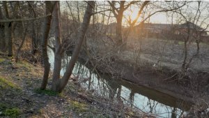 Природа в станице Северской