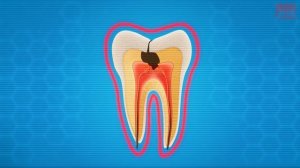 Мультик про здоровье зубов - ЗАДАЧА ПО ЗУБАМ «Команда Познавалова» Как правильно чистить зубы_1080p