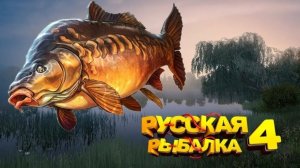 Играем в Russian Fishing 4 ловим карпа и другую рыбку на оз.Медвежье. (Бойлы)
