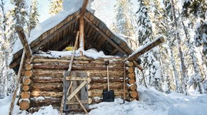 ЖИЗНЬ В ЛЕСУ В ИЗБЕ С ДЕВУШКОЙ. НАШЛИ РАЗРУШЕННУЮ ИЗБУ ПРОШЛОГО ВЕКА