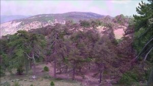 Карина Королева-Гембицкая Пьеса "Кратер любви"